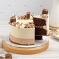 Salted Caramel Chocolate Cake | Online Cake Delivery Singapore | Baker's Brew