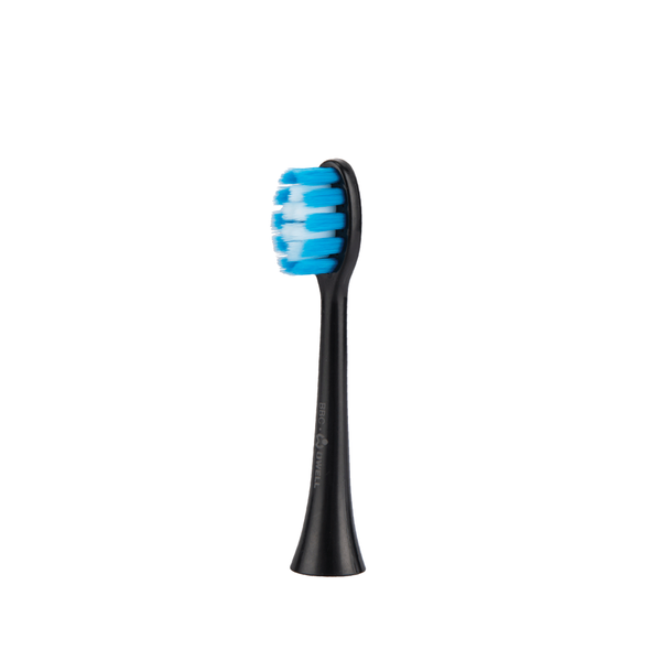 Sonic Toothbrush Head (BBC)